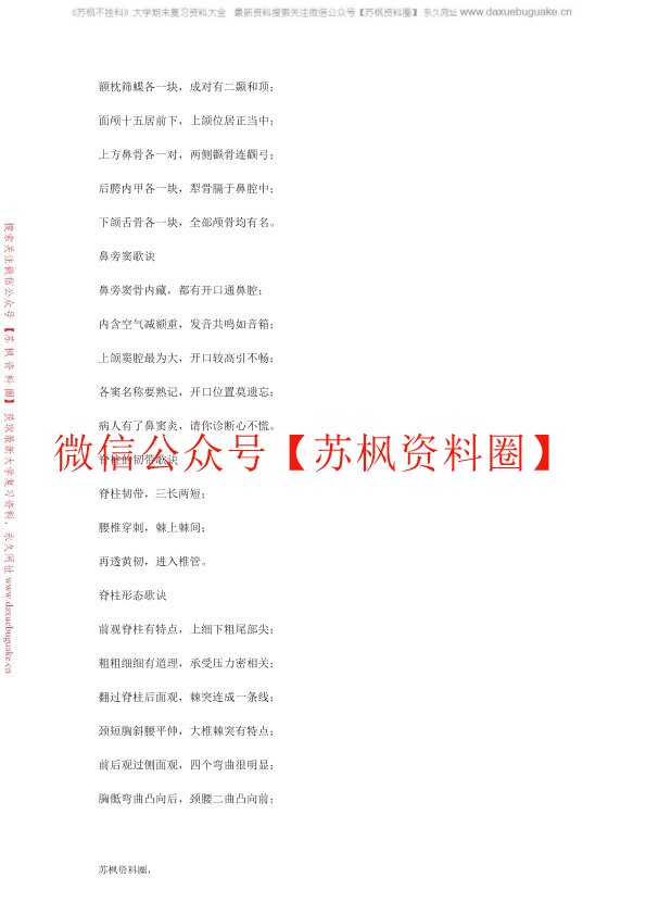 局部解剖学